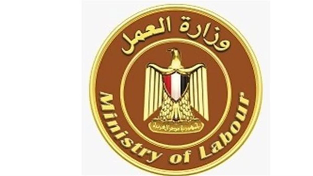 تخصصات مطلوبة.. تعرف على رواتب وزارة العمل الجديدة